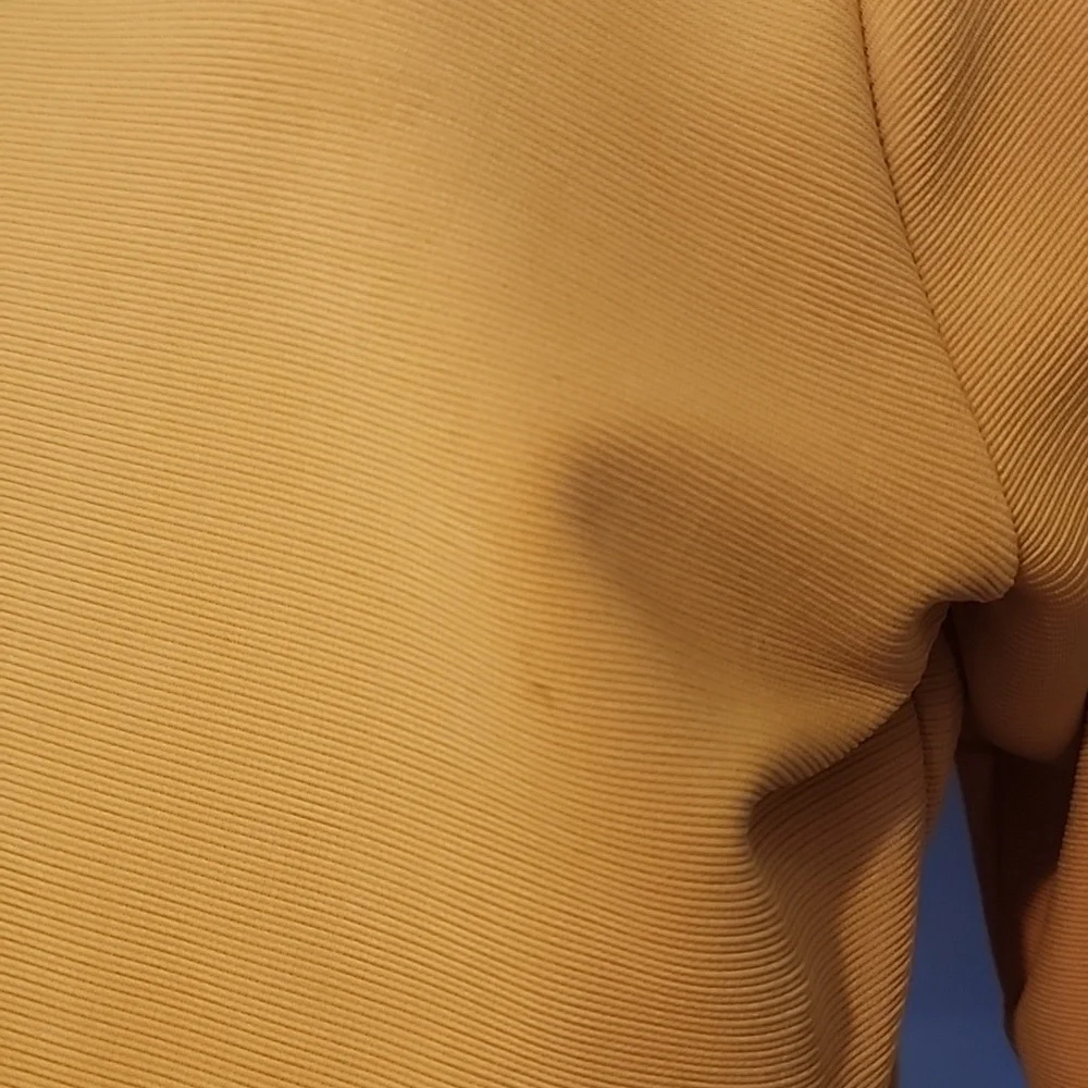 Mustard Seed Yellow Embroidered Bird Crop Top - Picture 12 of 12